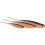 Westin SHADTEEZ PIN-TAIL 13cm/6g Hot Olive 2x