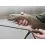 Delphin TROUTERA SoftLURE 180cm/0.5-6g
