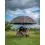 Fox 60 Inch Camo Brolly