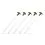 Delphin CLASSA / 5pcs 30cm