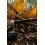 Korum Limitless Feeder 13ft 3.9m/200g/3