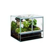 Stekleni terarij 40 x 30 x 30 cm / 36L