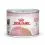 Royal Canin Mother & Babycat Instinctive pa&scaron;teta za doječe mačke in mladiče 6 x 195 g
