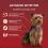 PURINA ONE MINI Dog Active Govedina in raca v soku 10 x 85 g