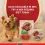 PURINA ONE MINI Dog Active Govedina in raca v soku 10 x 85 g