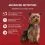 PURINA ONE MINI Dog Sensitive Losos v soku 10 x 85 g