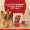 PURINA ONE MINI Dog Sensitive Losos v soku 10 x 85 g