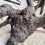 WIO Black Tree Trunk Wood - les za akvarij M