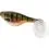Westin SHADTEEZ 12cm/15g Headlight 2x