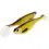 Westin SHADTEEZ 12cm/15g Headlight 2x