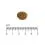 Eminent Selection Adult Cat Poultry 10+4 kg BREZPLAČNO