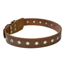 Usnjena pasja ovratnica - 76 cm, 35 mm - rjava