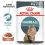 Royal Canin Hairball Care Gravy vrečke hrane za mačke v soku 24 x 85 g
