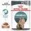 Royal Canin Hairball Care Gravy vrečke hrane za mačke v soku 24 x 85 g
