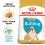 ROYAL CANIN ENGLISH BULLDOG PUPPY - 3 kg