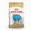 ROYAL CANIN ENGLISH BULLDOG PUPPY - 3 kg