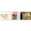 Dennerle Shrimp King - Yummy Gum 50 g