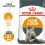 Royal Canin HAIR & SKIN CARE 10 kg