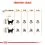 Royal Canin HAIR & SKIN CARE 10 kg
