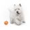 Žoga za pse LIKER - 5 cm