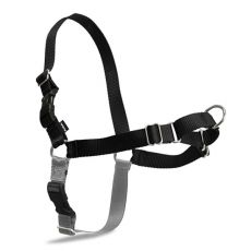 Pasja oprtnica EasyWalk Harness - XL, črna