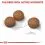 ROYAL CANIN MEDIUM Digestive Care 3 kg
