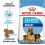 ROYAL CANIN MAXI STARTER MOTHER AND BABY DOG – 4 kg