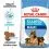 ROYAL CANIN MAXI STARTER MOTHER AND BABY DOG &ndash; 15 kg