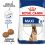 ROYAL CANIN MAXI ADULT 5+ YEARS – 15 kg
