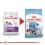 ROYAL CANIN GIANT STARTER M&B &ndash; 15 kg