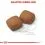 ROYAL CANIN GIANT JUNIOR 15 kg
