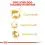 ROYAL CANIN ADULT POODLE 1,5 kg