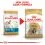 ROYAL CANIN ADULT SHIH - TZU 1,5 kg