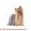 ROYAL CANIN ADULT YORKSHIRE &ndash; 1,5 kg