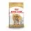 ROYAL CANIN ENGLISH BULLDOG 3 kg