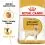 ROYAL CANIN LABRADOR RETRIEVER &ndash; 12 kg