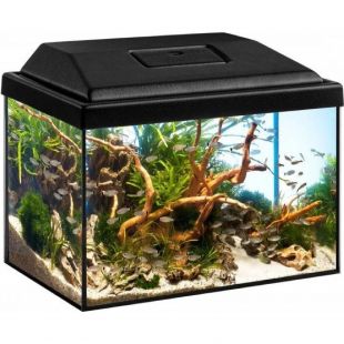 Akvarij DIVERSA STARTUP SPLASH 12L + 3W LED