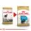 ROYAL CANIN YORKSHIRE JUNIOR 1,5 kg