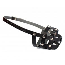 Usnjen pasji nagobčnik Collar, črn – kokeršpanjel