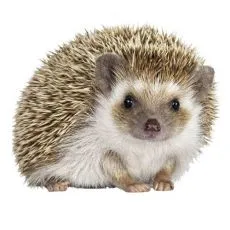 Kletka za ježa