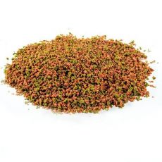 Hrana za ribe - Black Friday