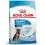 Royal Canin Maxi Puppy granule za mladiče velikih pasem 4 kg