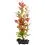 Ludwigia Repens (Red Ludwigia) - rastlina Tetra 15 cm, S