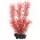 Myriophyllum Heterophyllum (Red Foxtail) - rastlina Tetra 15 cm, S