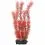 Myriophyllum Heterophyllum (Red Foxtail) - rastlina Tetra 30 cm, M
