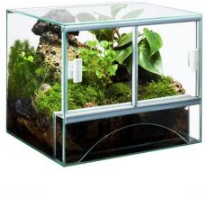 Terariji - Black Friday