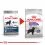ROYAL CANIN MAXI Sterilised 12 kg