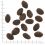 WOLFSBLUT Wild Pacific 2 kg