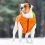 Telovnik Waistcoat AiryVest Colar, oranžno-zelen, M 45
