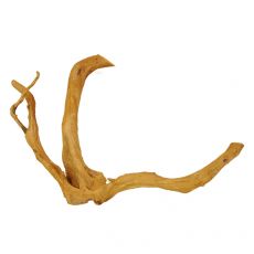 Korenina za akvarij Cuckoo Root - 60 x 20 x 43 cm